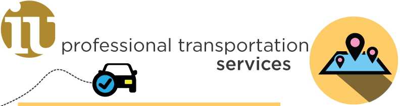 Professional Medical Transportation Services